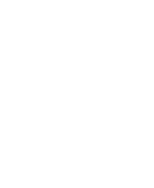 LA PHOTOTHEQUE DU POLO DE PARIS